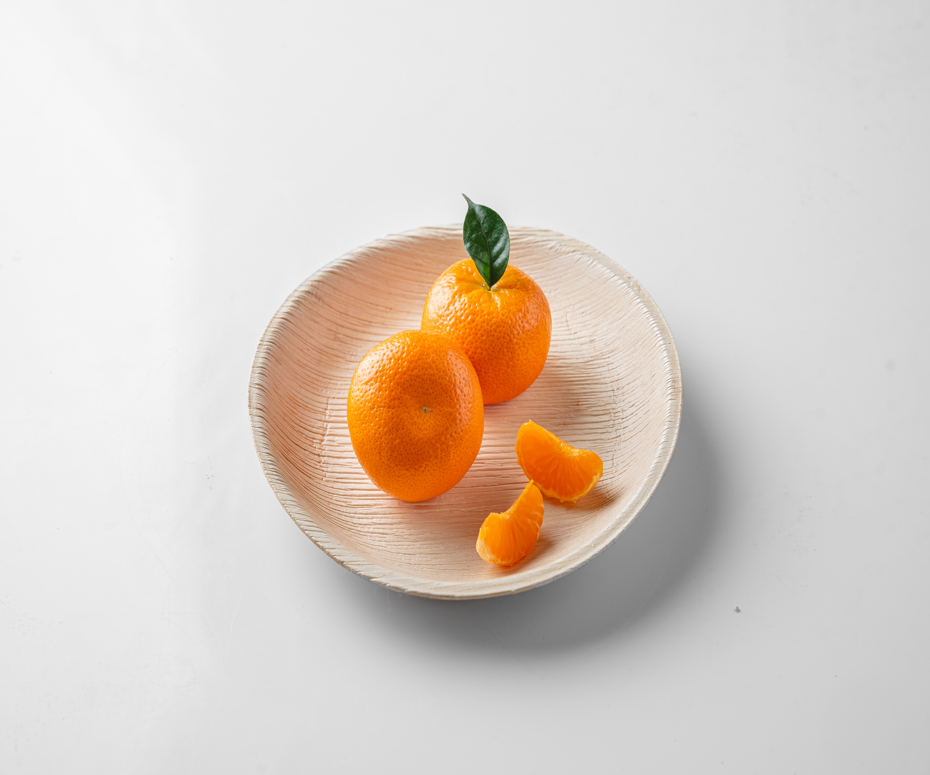 10" (25 cm) Round Disposable Palm Leaf Plates