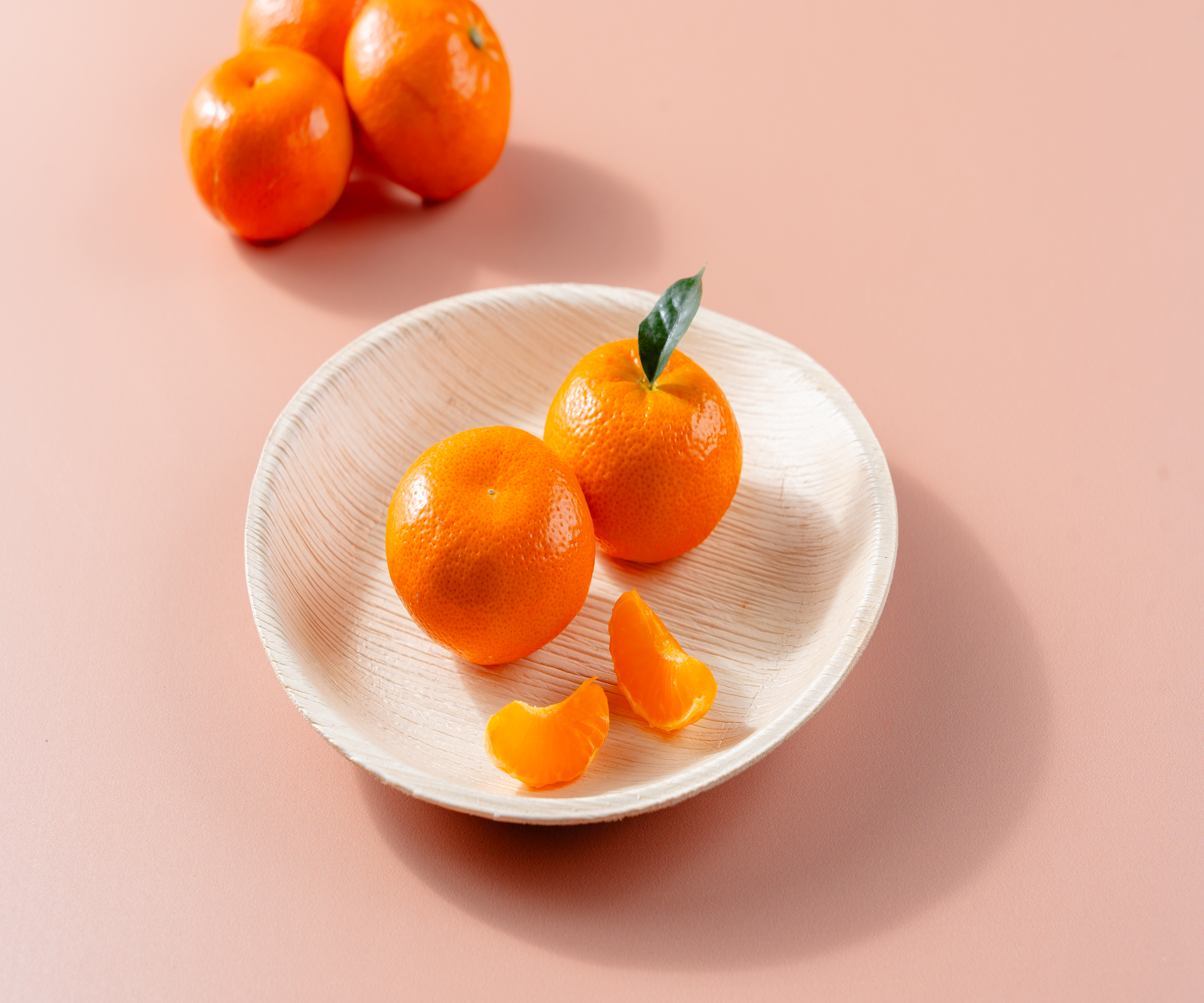 10" (25 cm) Round Disposable Palm Leaf Plates