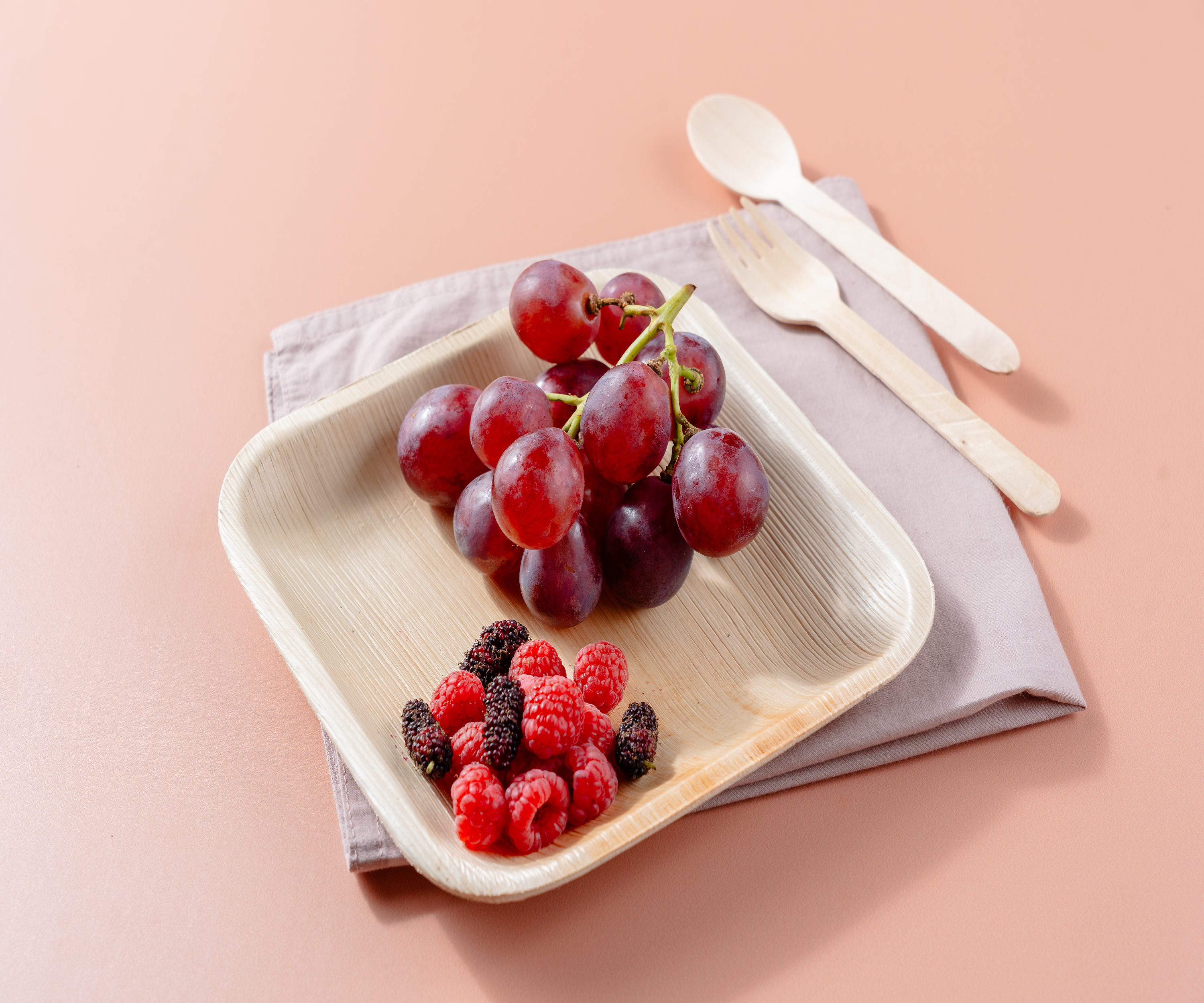 10" (25cm) Square Compostable Palm Leaf Plates