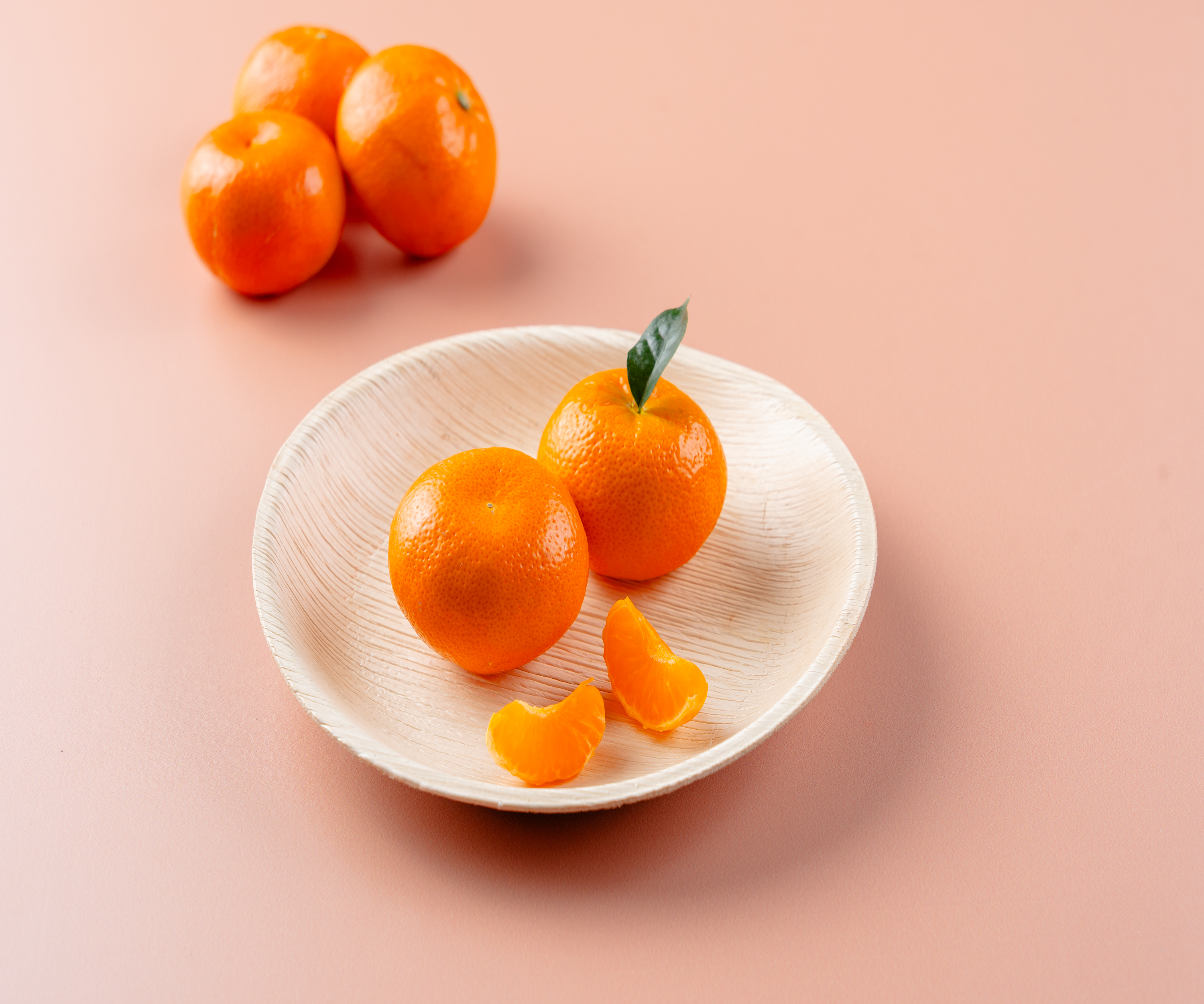 10" (25 cm) Round Disposable Palm Leaf Plates