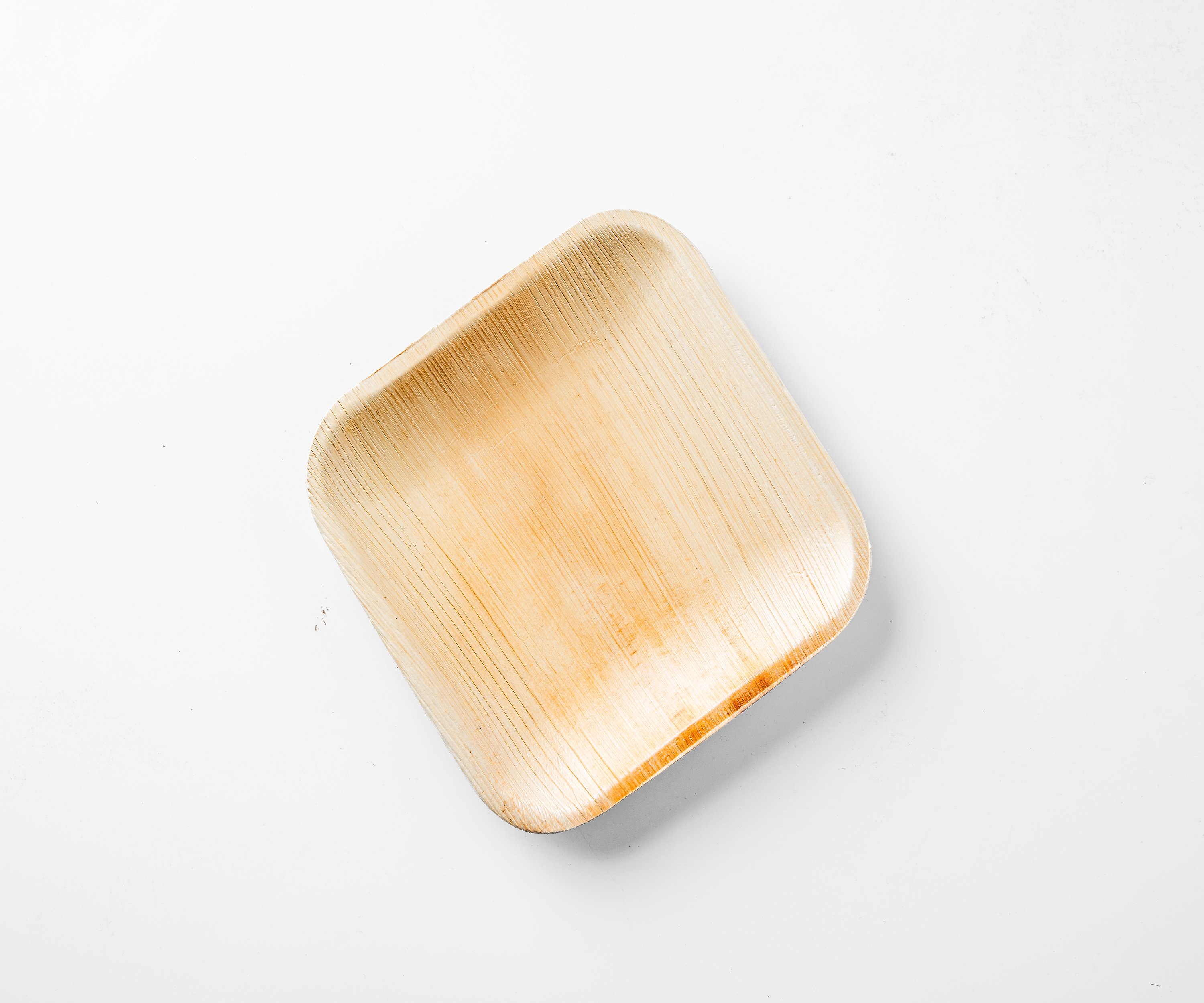 10" (25cm) Square Compostable Palm Leaf Plates